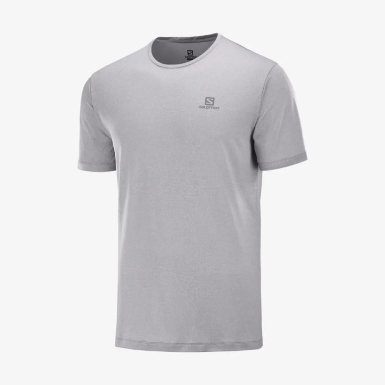 Light Grey Salomon Agile Training Short Sleeve Men's T-Shirts | PH 53471N